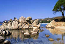 澳大利亚对阵约旦的比分最终是多少？